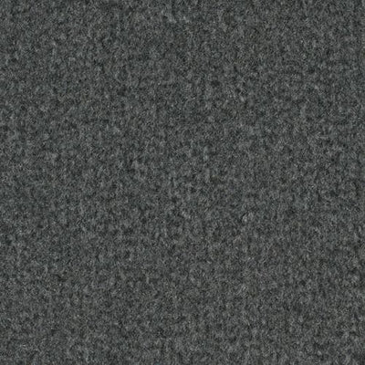-Daytar Lt Grey Plush Carpet Sample (Interior/Exterior)