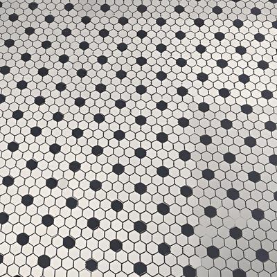 Adelaide Hexagon Black and White Dot 10.16 in. x 11.71 in. Matte Porcelain Floor and Wall Tile (12.45 sq. ft./Case)